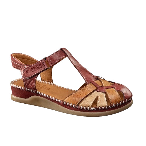 Erase Πέδιλο Ceres 793-66 Μπορντό