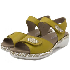 Piesanto Πέδιλο 230802-784i Μουσταρδί