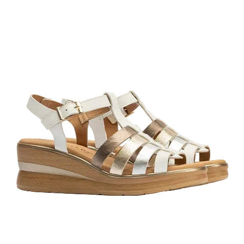 Pitillos Πέδιλο Shain 10353 Άσπρο Πολύχρωμο